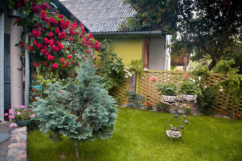 Irenos Svetaine Palanga Exterior foto